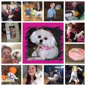 Meet your Posher, Bryson